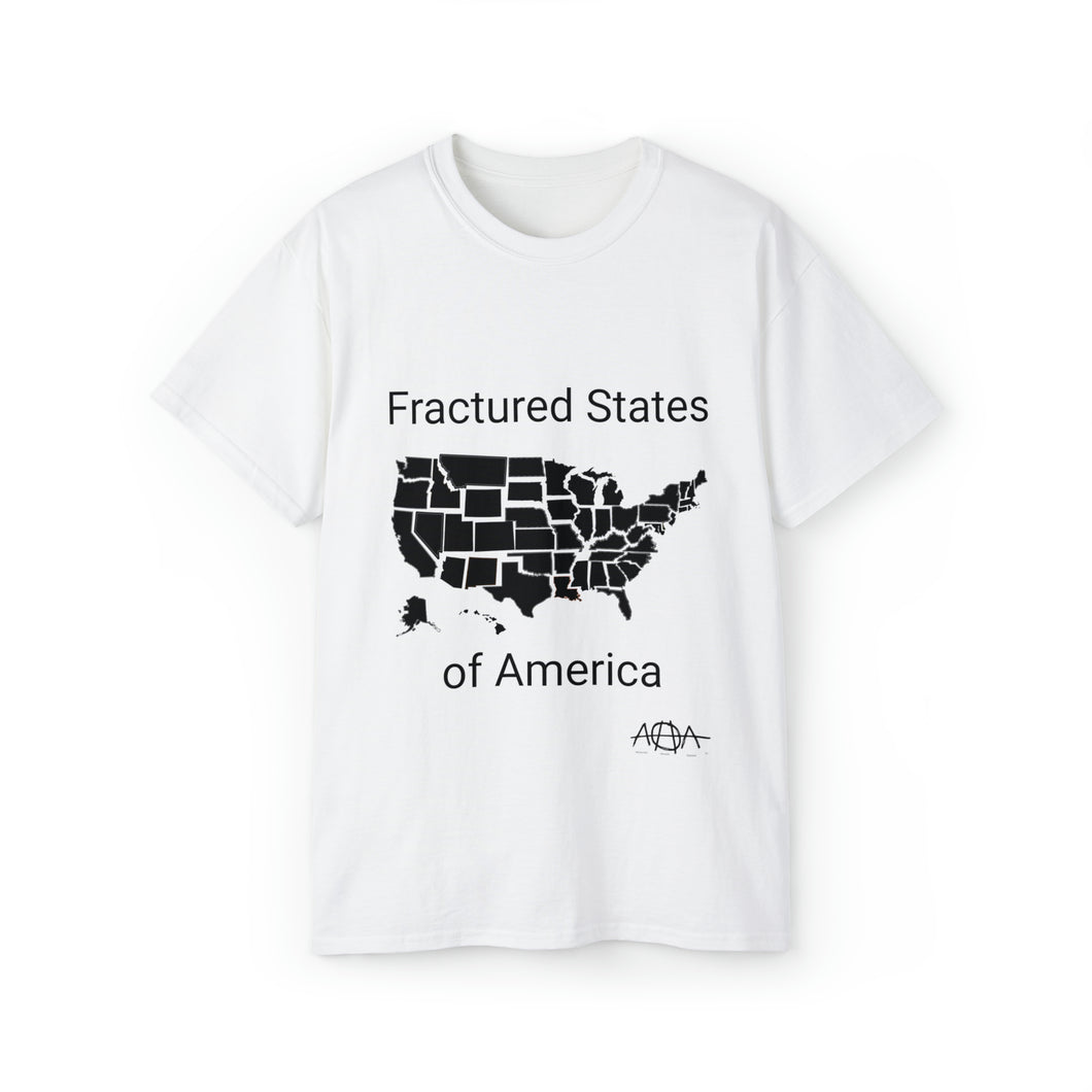 Fractured States of America